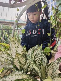 Bé yêu thiên nhiên