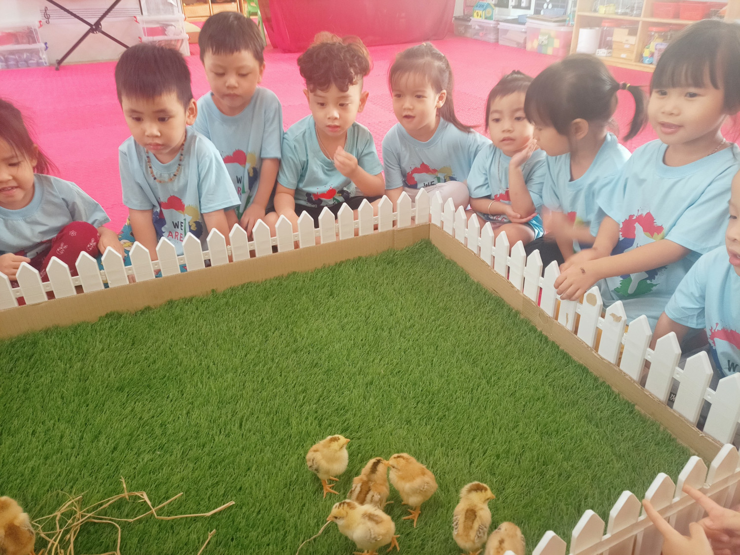 z3881613925310 689a3c46f208bc0c95957989a4d60cea