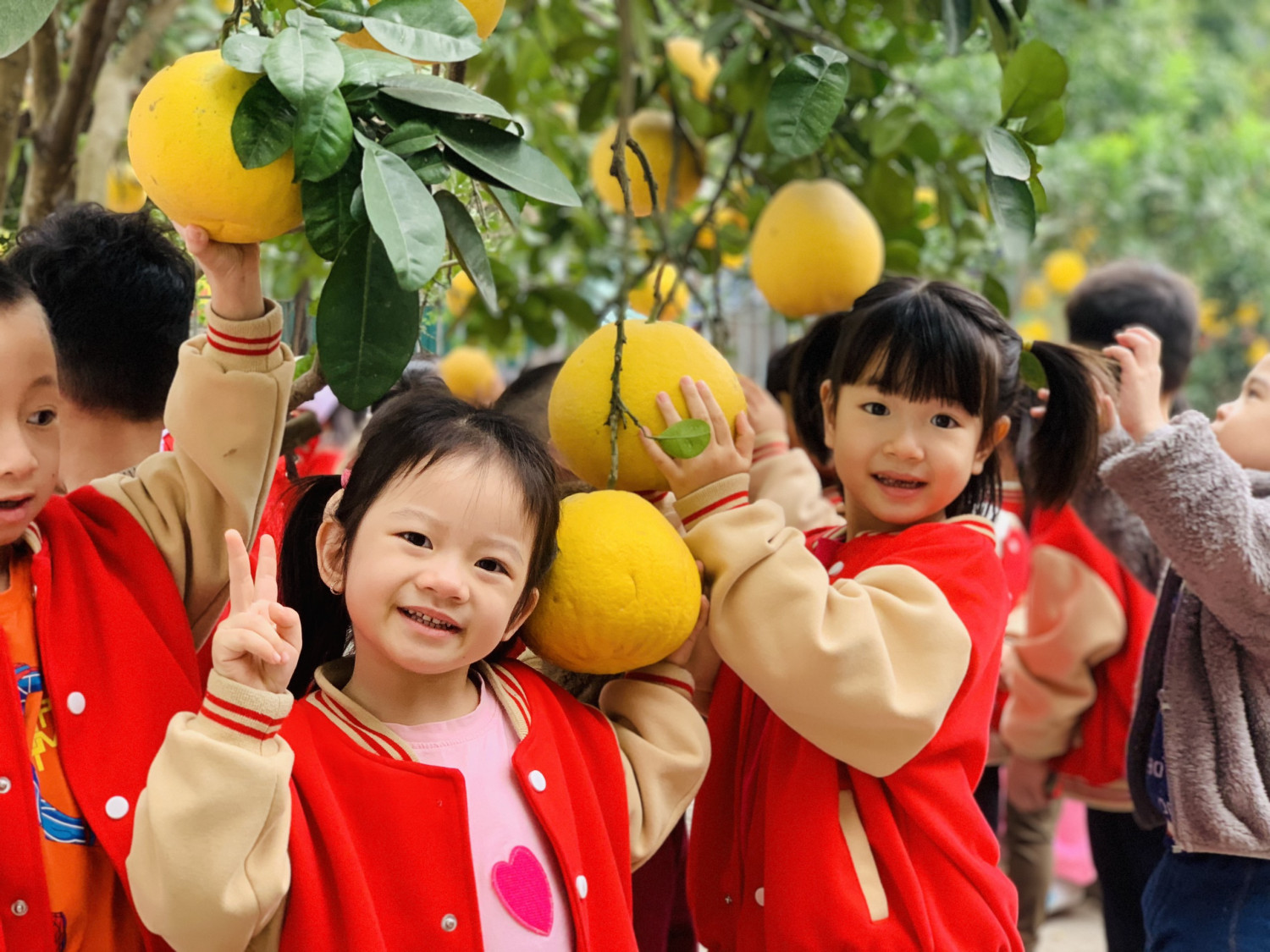 z5021512596922 0eb4f23c3eb48a2060cbfd0ac487e1b7