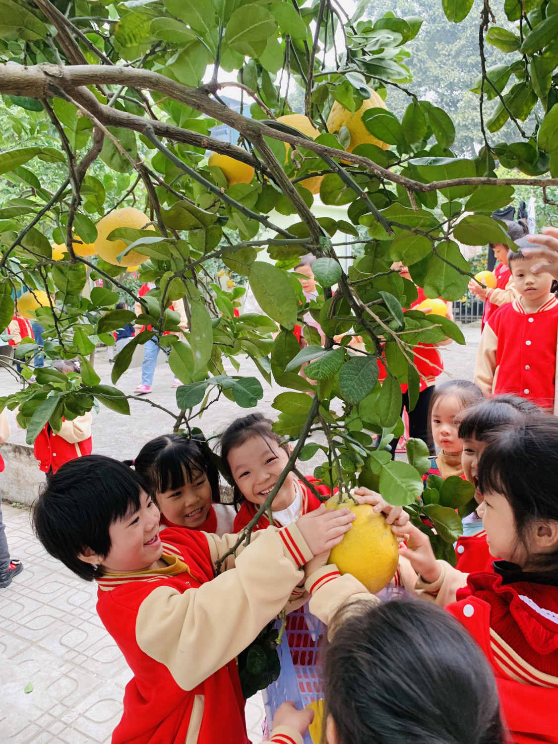 z5021514047610 b78ce549f93891a4b421bb99967f8b0a