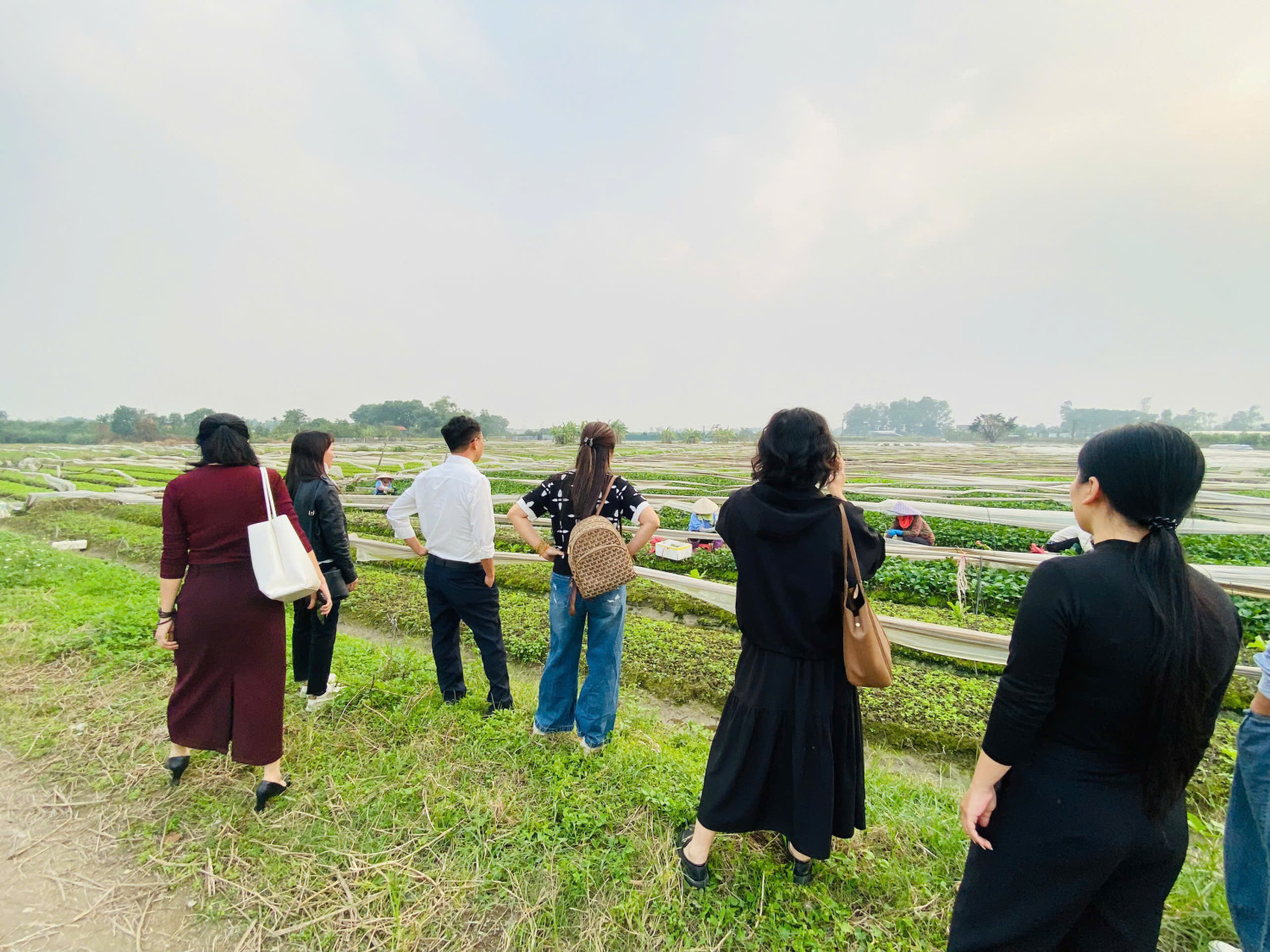 z7375557995894 87534dd5b8e4c60d50b5e007c8ca8d25