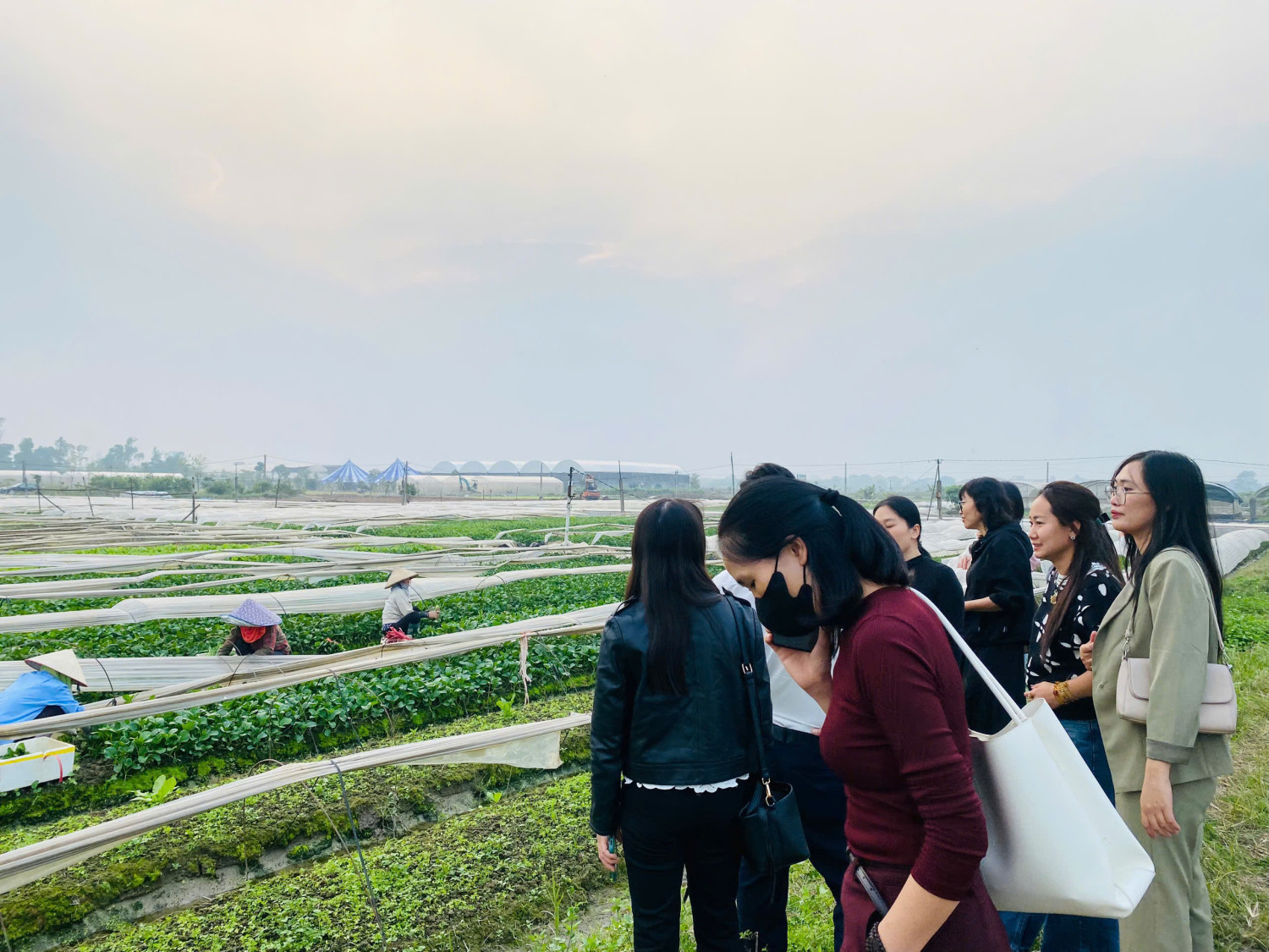 z7375558048730 50007927f78fc0492b8c8aebe7d27ecc