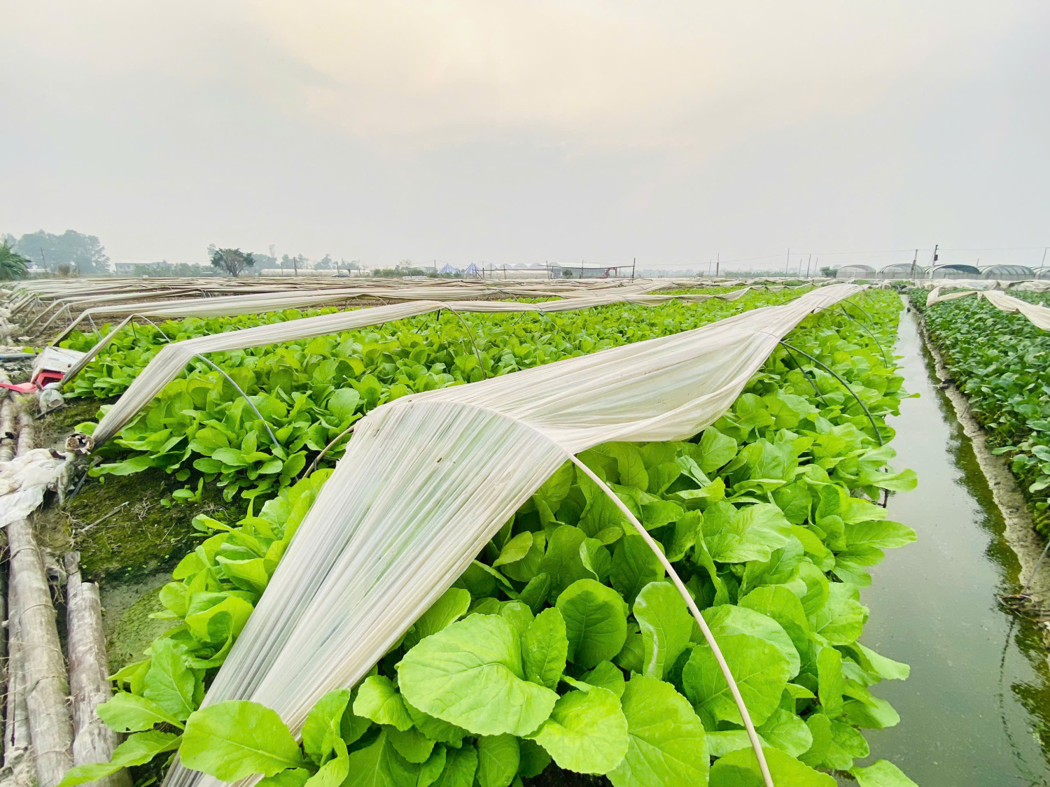 z7375558251853 ecd76bd515813c8278e41cbcc143f27a