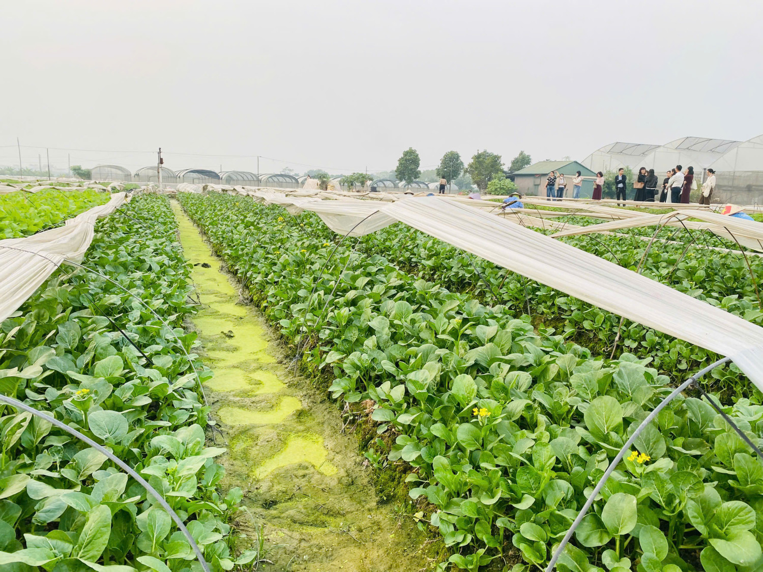 z7375558434009 27dd9127391c6297befac3e1ec464390