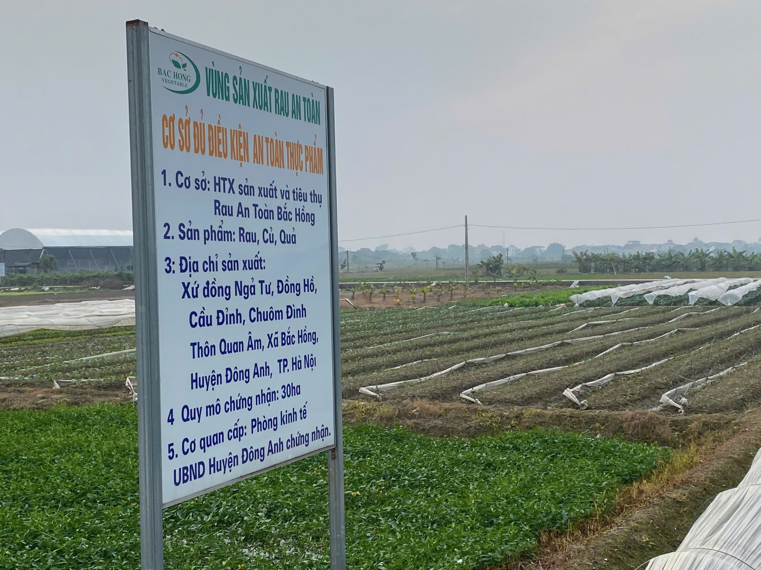 z7375558733552 6a5c83e0d81b412dcaaa89b35bb00d4e