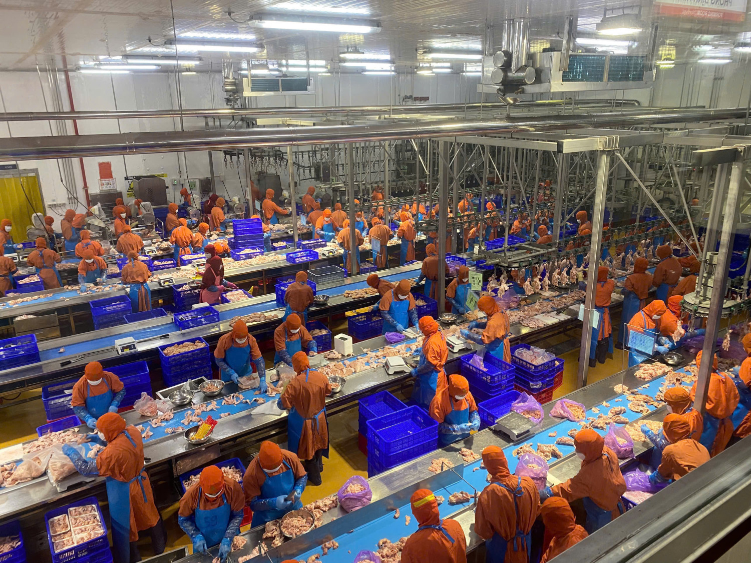 z7433540960857 53a18b2cdc755d216080fca36ec43226