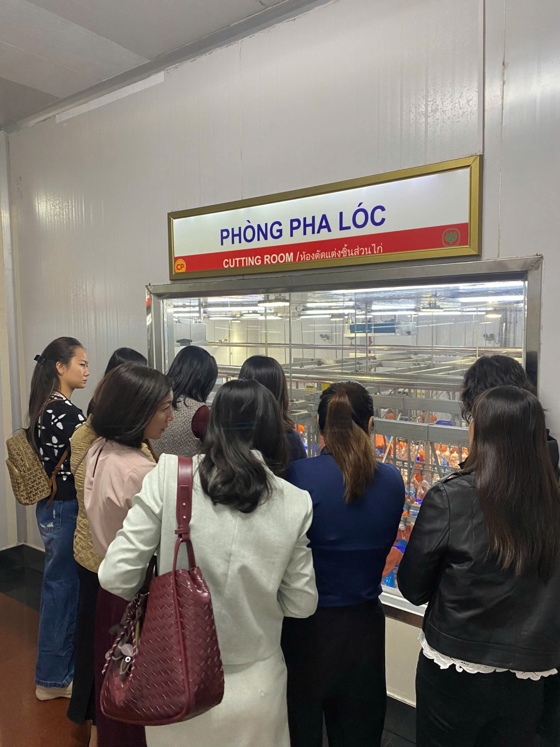 z7433541011951 cf5886ddfbf88b82378989610add0745